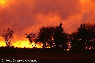 Newton County Sunset