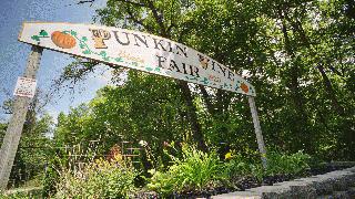 Pun'kin Vine Fair